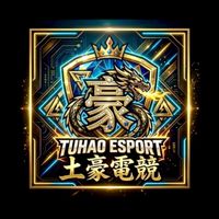 土豪電競［陪玩|護航考試群］