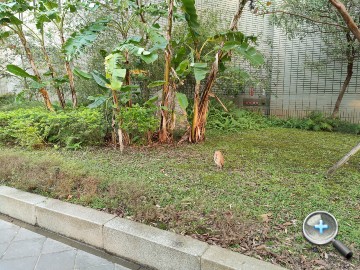 IMG20200314171933.jpg IMG20200314171933.jpg