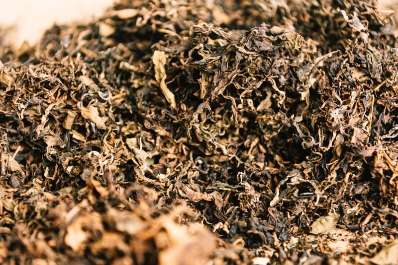 曬乾的台灣山茶葉