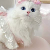 ♡수