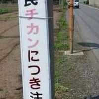 全緩也～！　見たなら入れよ⁉️⁉️⁉️皆良い奴だから‼️