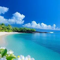 🌈関西シングル🐬50､60代🐬の仲間達🌈