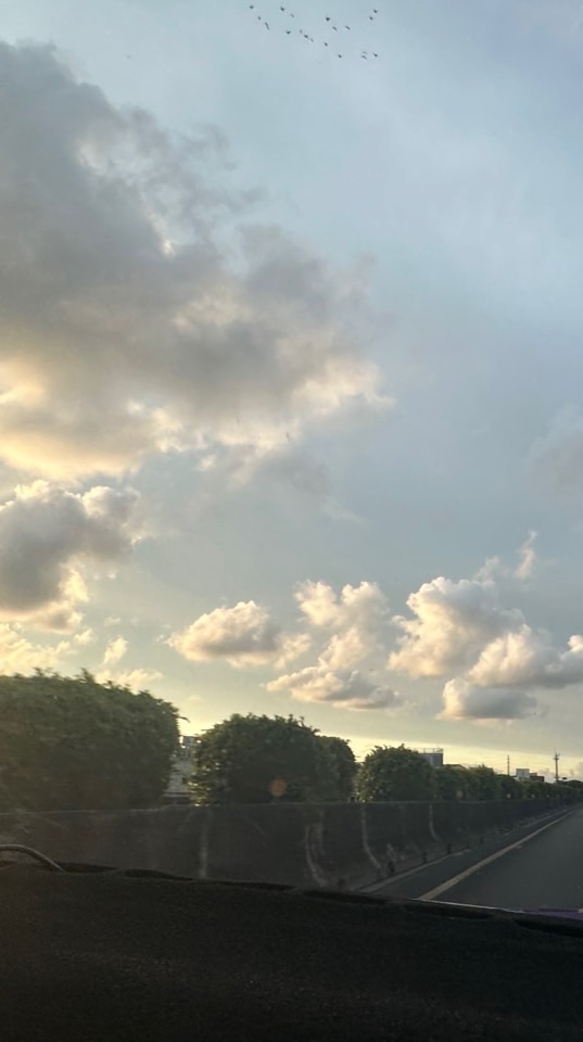113義興國小504