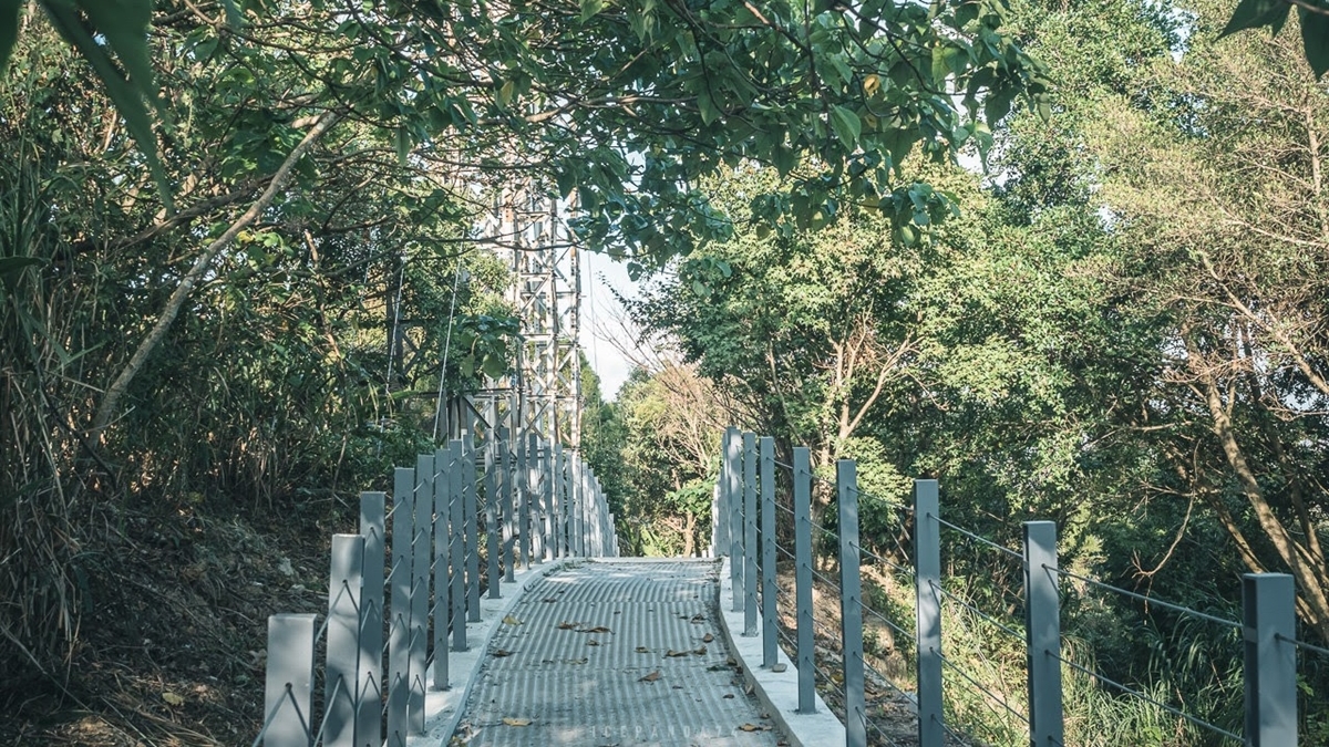 連新北人都不知道！樹林８處免費景點：巨型飛碟公園、愛心池塘、繡球花祕境