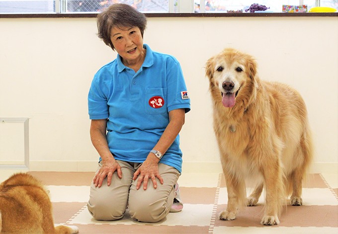 裁判で子どもを支える 付添犬 育成に主婦を導いた 愛犬たちとの出会いと別れ