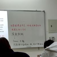 懶豬同溫層
