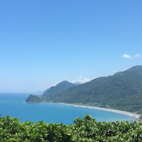 TFA 台灣纖維肌痛症關懷園地