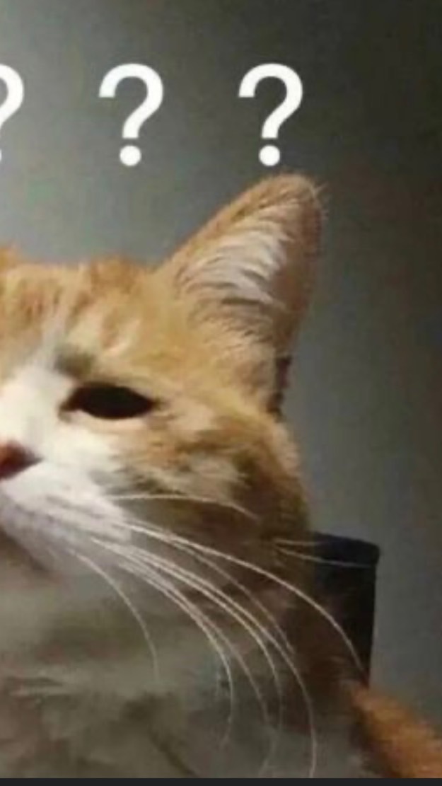 （貓）貓舍遇見奇葩客人（飼主）