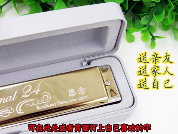 孔聲24孔復音C調口琴兒童成人初學高級演奏 鈴木口琴品質