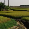 攝影同學會