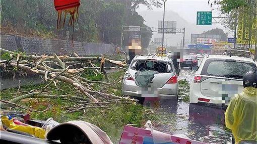 埔里路樹倒塌毀3車　2人受傷送醫