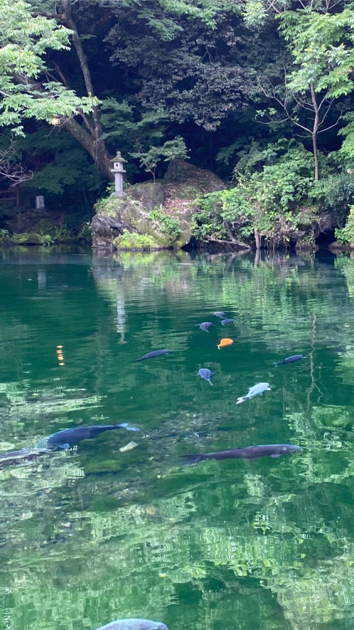 栃木県佐野市民の憩いの場🍜