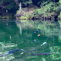 栃木県佐野市民の憩いの場🍜