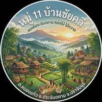 หมู่11 บ้านชัยคลี