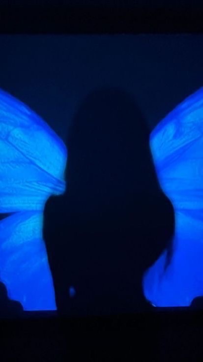 【誰でも🆗画録送信用】🦋𝐘𝐮𝐚𝐫𝐚🦋/基本発言🈲