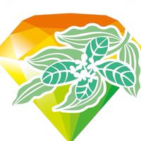 光感生活｜身心靈健康日常圈
