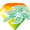 光感生活｜身心靈健康日常圈