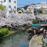[関西50代60代]💐安らぎとふれあいトークの部屋💐