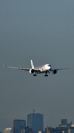 OpenChat 空港、飛行場探索