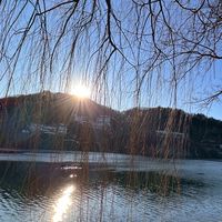台新證券股市資訊分享