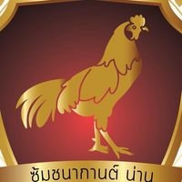 ชนากานต์ น่าน