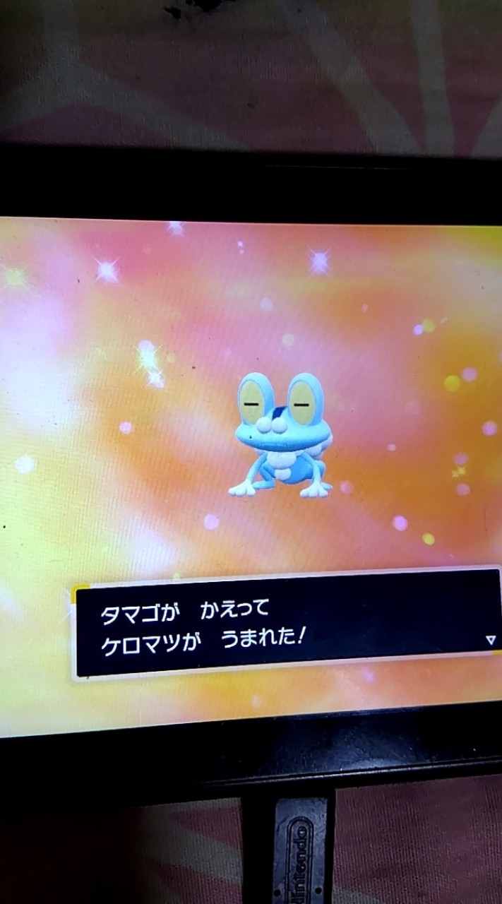 ポケモンSV配布　対戦　交換