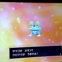 ポケモンSV配布　対戦　交換