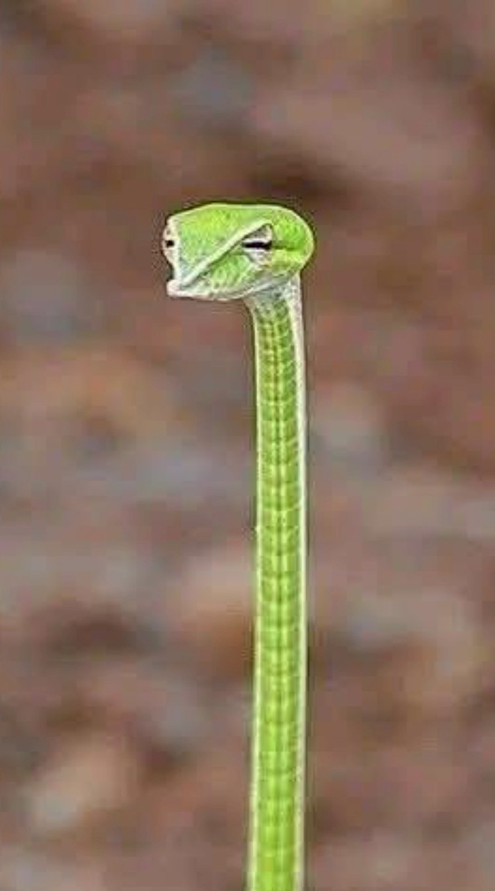 กลุ่มคุยเล่นนน