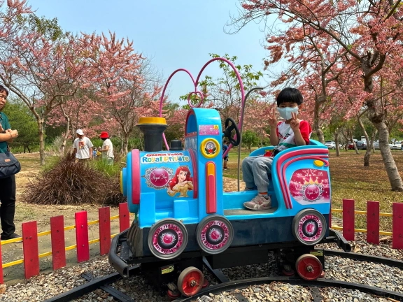 中部景點,斗六景點,斗六花旗木,近水樓台,近水樓台湖畔森林咖啡,近水樓台湖畔森林咖啡交通資訊,近水樓台湖畔森林咖啡停車場,近水樓台湖畔森林咖啡停車場花旗木,近水樓台湖畔森林咖啡門票,雲林IG打卡點,雲林景點,雲林網美景點,雲林花旗木近水樓台湖畔森林咖啡花旗木