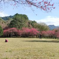 莒光國小課後樂樂棒球班