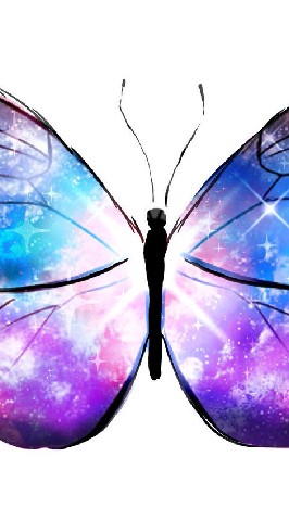 ค่ายbutterfly music1🦋