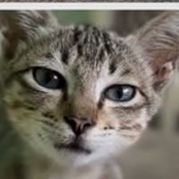 นน 5555