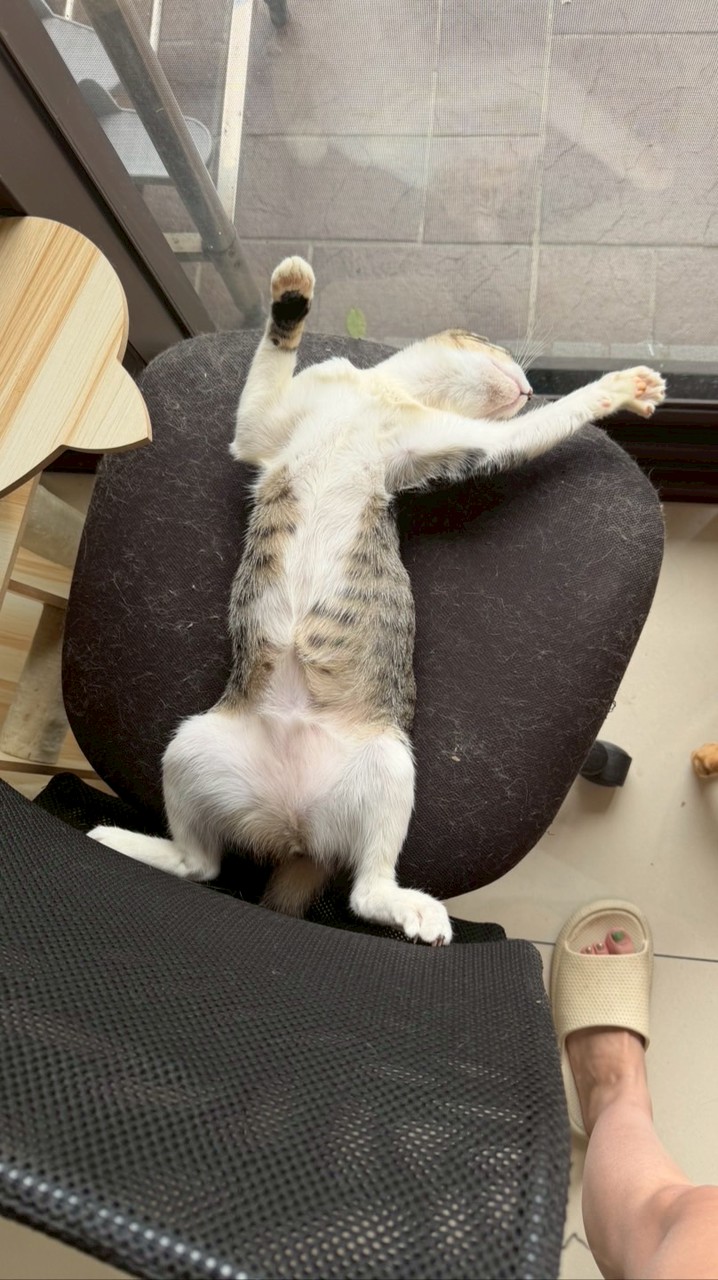 🧍‍♀️水果姊姊🧍‍♀️