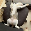 🧍‍♀️水果姊姊🧍‍♀️