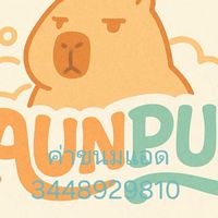 ซีรีส์ของAUNPUN