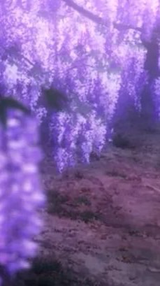 ✧ 鬼滅の刃オリキャラ ✧