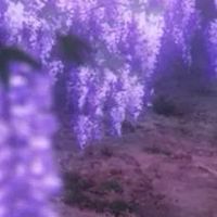 ✧ 鬼滅の刃オリキャラ ✧