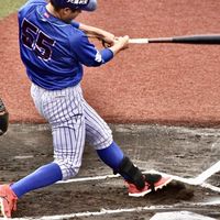 独立リーグ応援歌好きのための場所