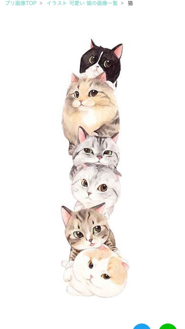 50代～＊猫の宅急便＊