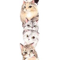 50代～＊猫の宅急便＊