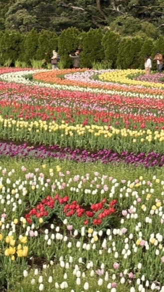 とにかく生物が大好きな人！！