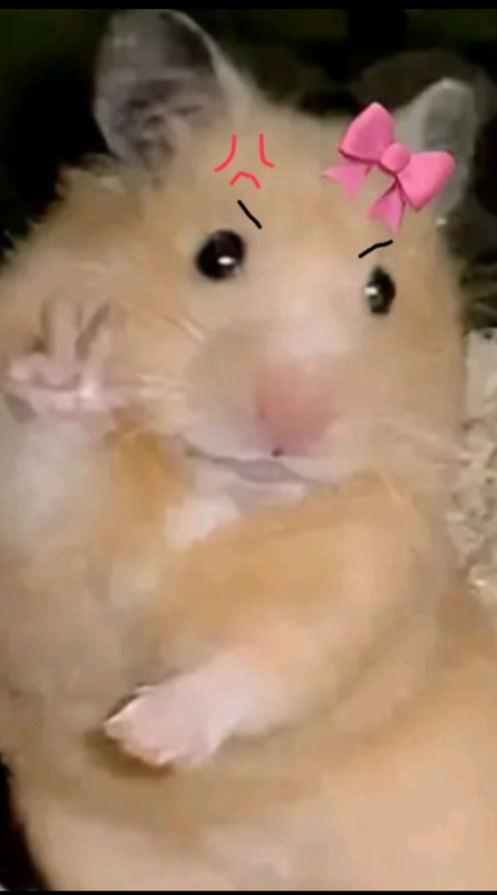 ゲーム雑談‼️‼️‼️