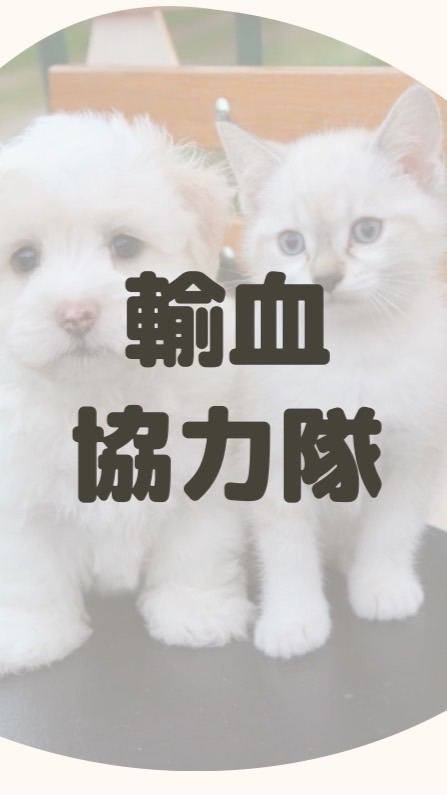 いぬねこ輸血協力隊