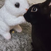ぷぅsのお話し場！