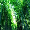 有益情報と賞賛を交換し合う部屋（質問もOK）