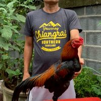 แอ๋ว อำนาจเจริญ ฟาร์ม 🐤