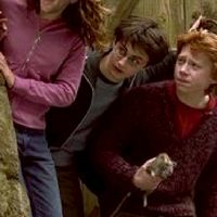 Harry​Potter​