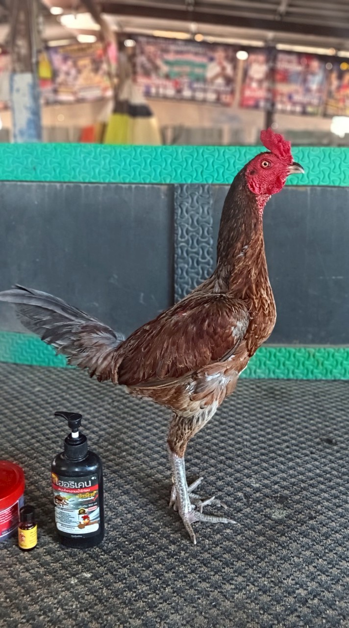 ซุ้ม สองอัศวิน (ชัยนาท)