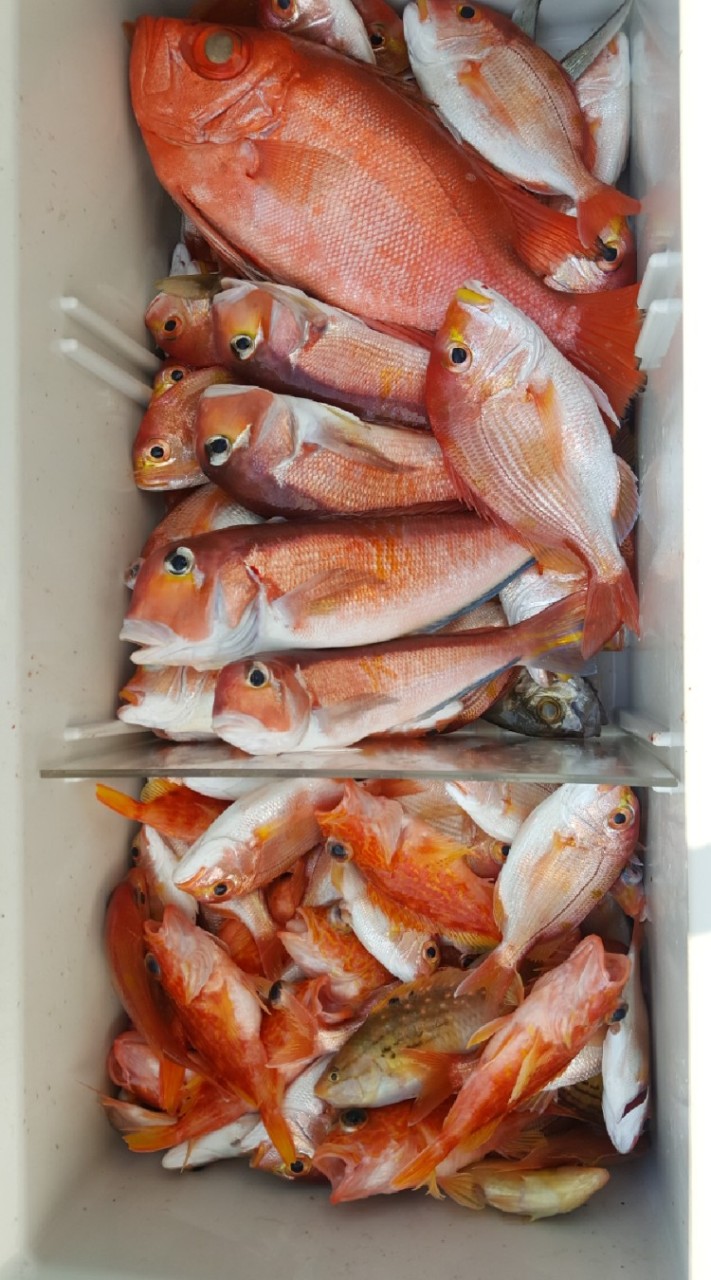 小癸鮮魚鋪