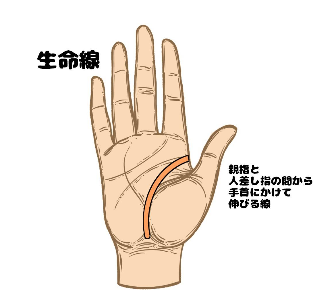 手相占い 生命線とは 基本の数え方と要注意なサイン Charmmy